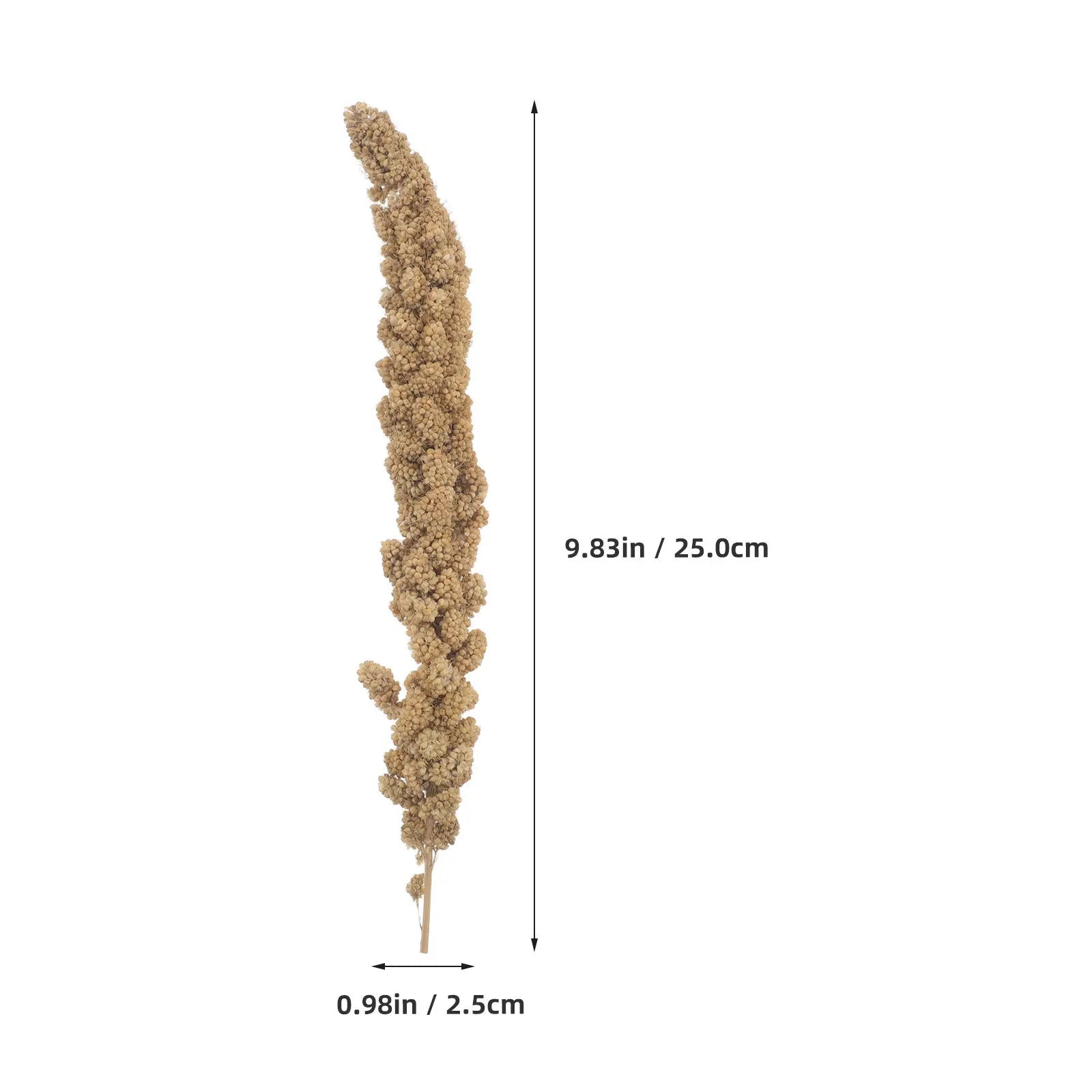 Natural Millet Food for Parrots & Cockatiels - 500g Pack by Souths Cheap Stuff