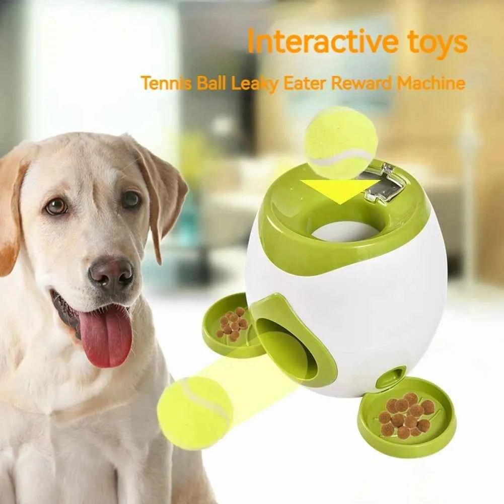 Automatic Dog Ball Launcher & Interactive Pet Toy for Fetch Training by Souths Cheap Stuff