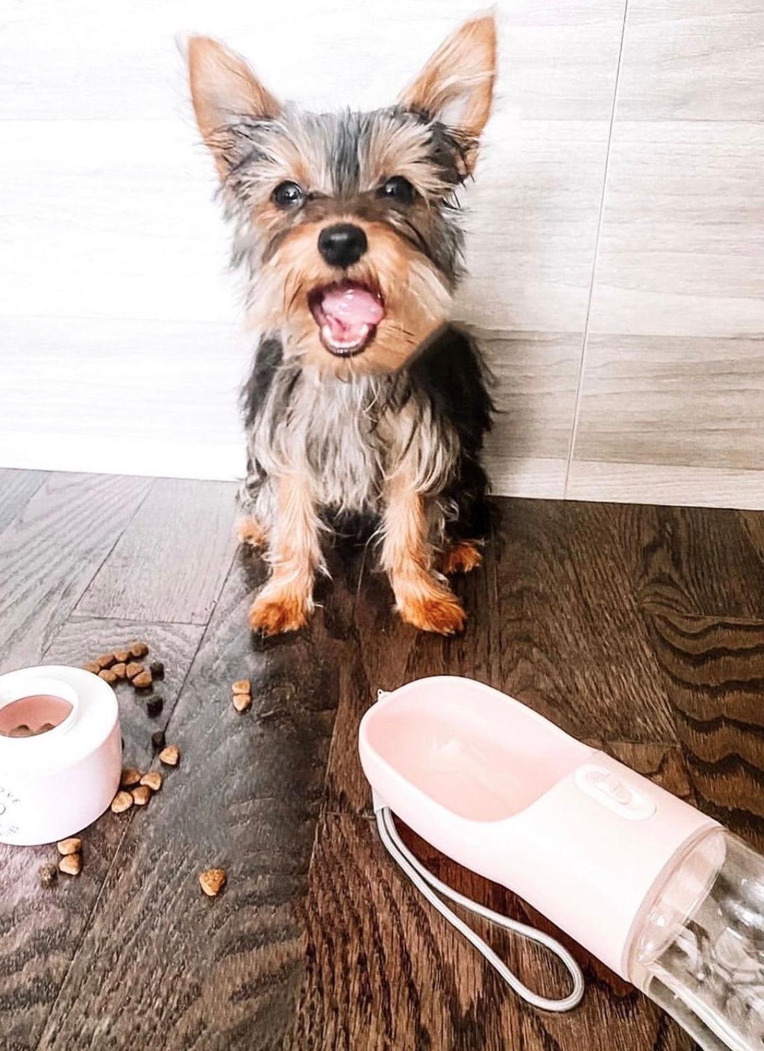 2 IN 1 PORTABLE PET FEEDER - PINK by PAWSOME PETS