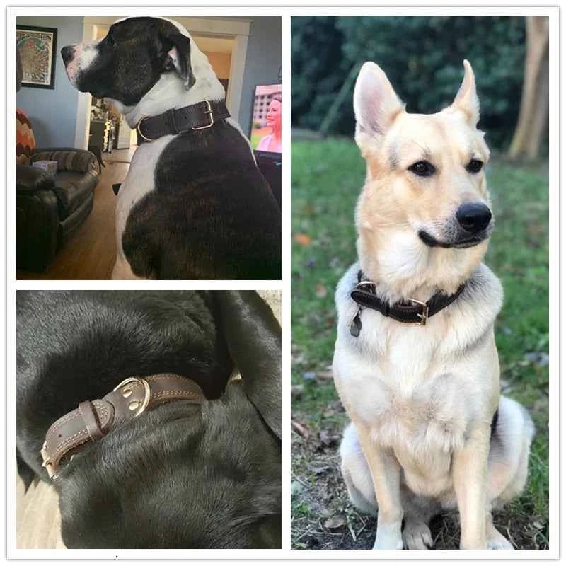 Premium Genuine Leather Dog Collar Vintage Style Durable Pet Collar for Medium to Large Dogs by Souths Cheap Stuff
