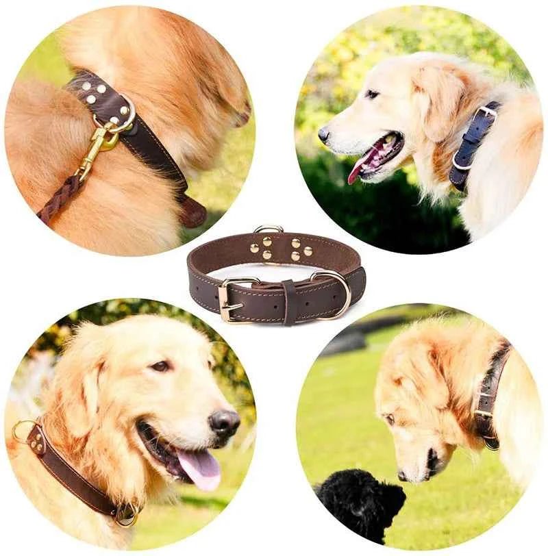 Premium Genuine Leather Dog Collar Vintage Style Durable Pet Collar for Medium to Large Dogs by Souths Cheap Stuff