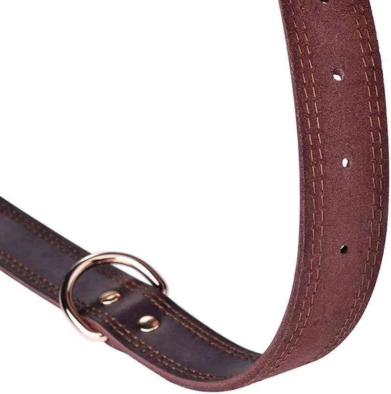 Premium Genuine Leather Dog Collar Vintage Style Durable Pet Collar for Medium to Large Dogs by Souths Cheap Stuff