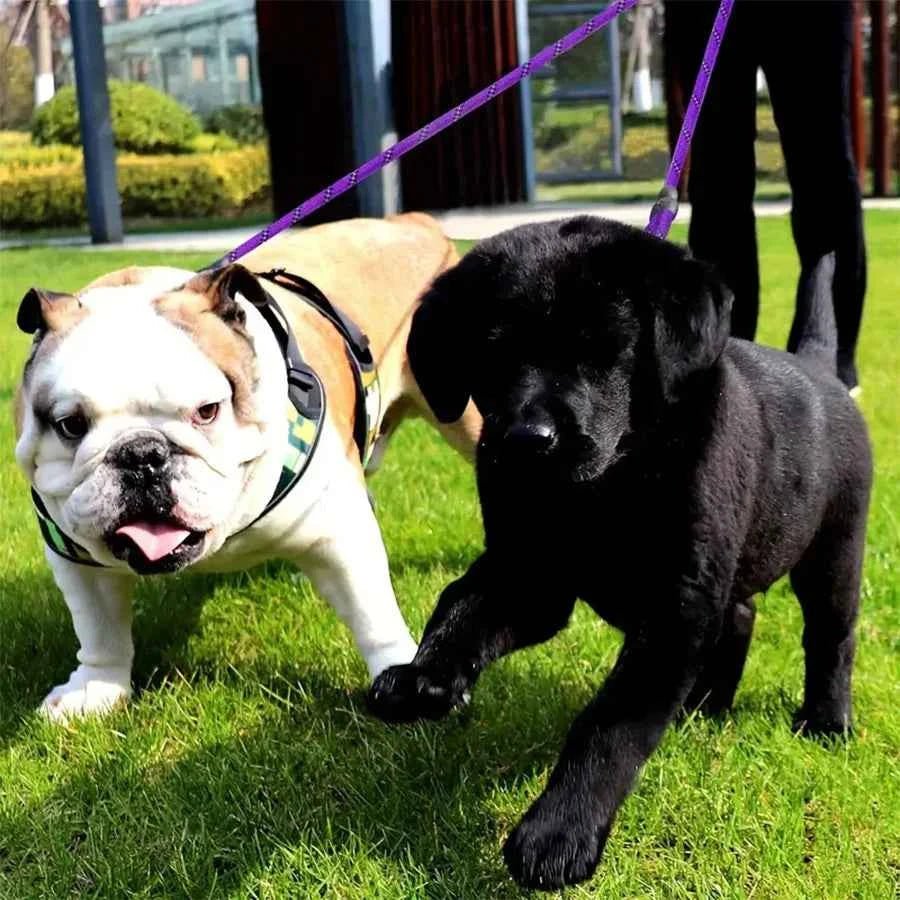 Premium Tangle-Free Dual Dog Leash for Small Dogs - Double Safety on Walks by Souths Cheap Stuff