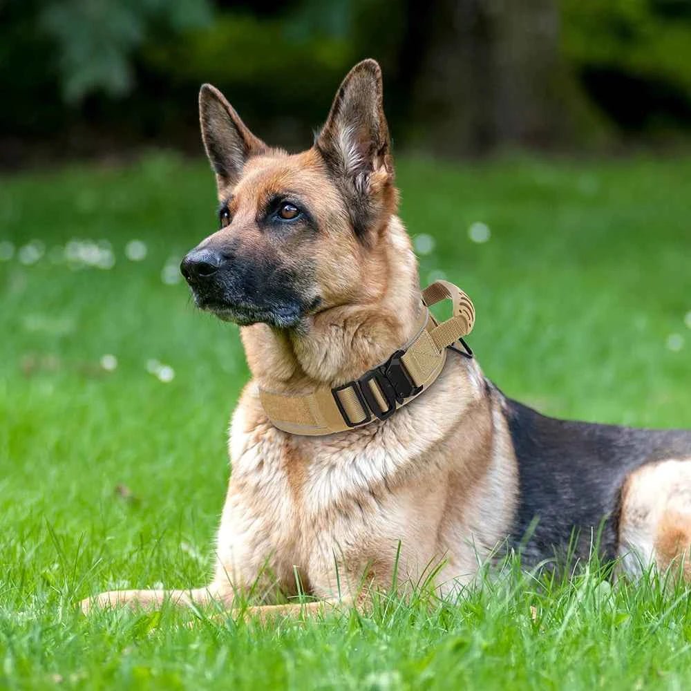 Heavy-Duty Tactical Dog Collar with Leash for Large Dogs - German Shepherd Training Gear by Souths Cheap Stuff