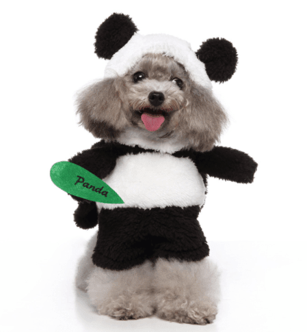 Funny Cosplay Pet Costume Set: Cute Cartoon Dog Outfit For Halloween And Christmas Dress-Up by Dog Hugs Cat