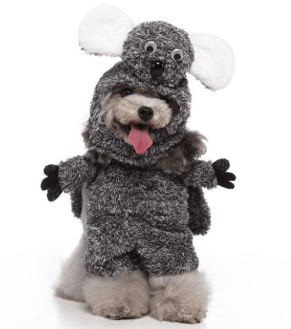 Funny Cosplay Pet Costume Set: Cute Cartoon Dog Outfit For Halloween And Christmas Dress-Up by Dog Hugs Cat