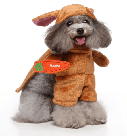 Funny Cosplay Pet Costume Set: Cute Cartoon Dog Outfit For Halloween And Christmas Dress-Up by Dog Hugs Cat