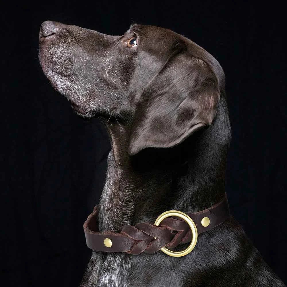 Braided Leather Dog Collar Leash Set for Medium-Large Dogs - Genuine Leather German Shepherd Pet Accessories by Souths Cheap Stuff