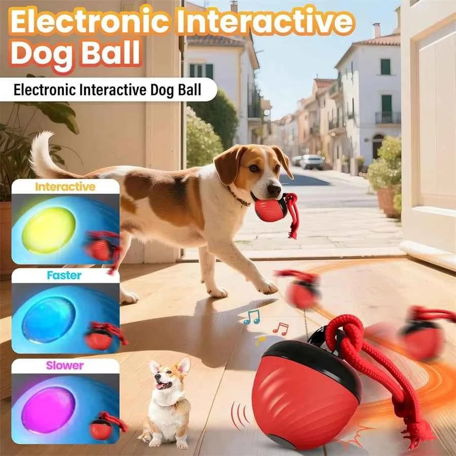 USB Charging Dog Toy Automatic Bouncing Ball Interactive Holiday Gift for Dogs by Souths Cheap Stuff