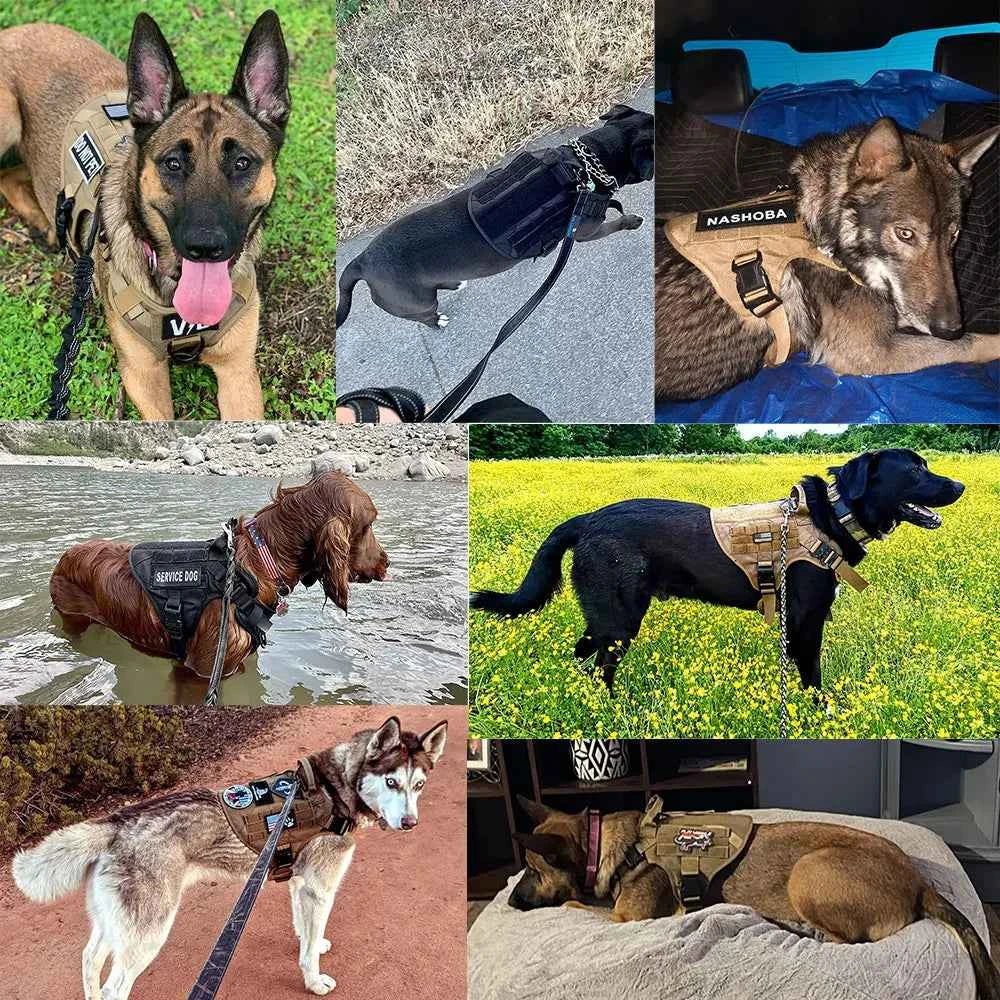 Adjustable Large Dog Harness Set with German Shepherd Leash for Training and Walking by Souths Cheap Stuff