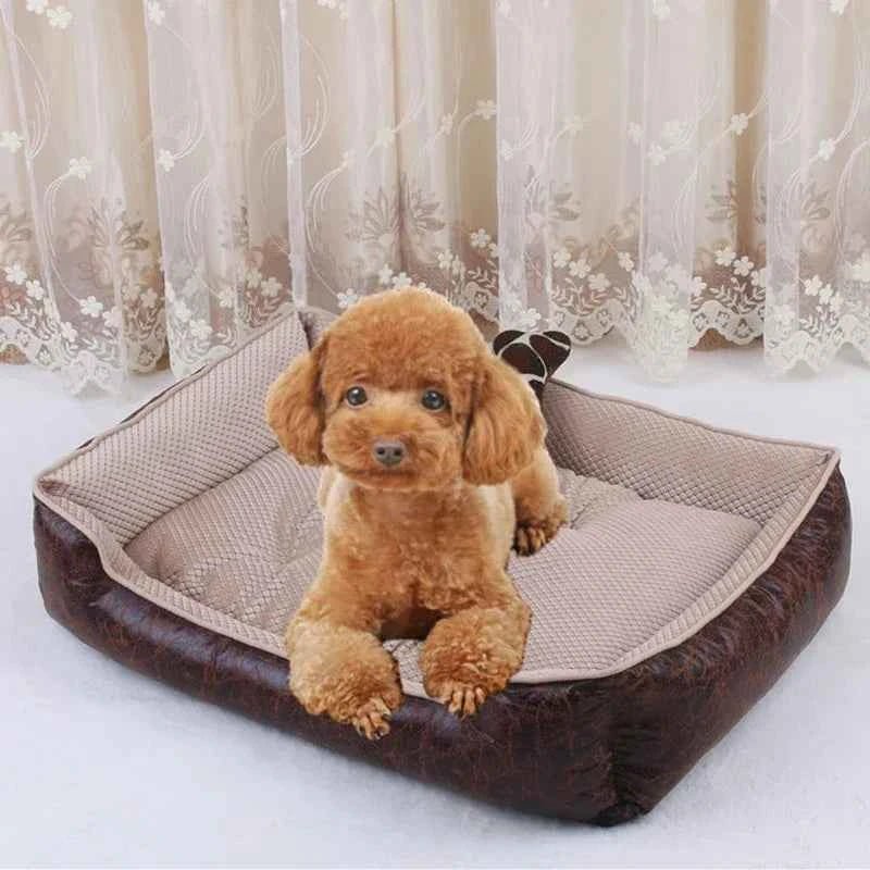 Large Waterproof Luxury Dog Bed with Removable Mattress for Big Dogs - Cozy and Stylish by Souths Cheap Stuff
