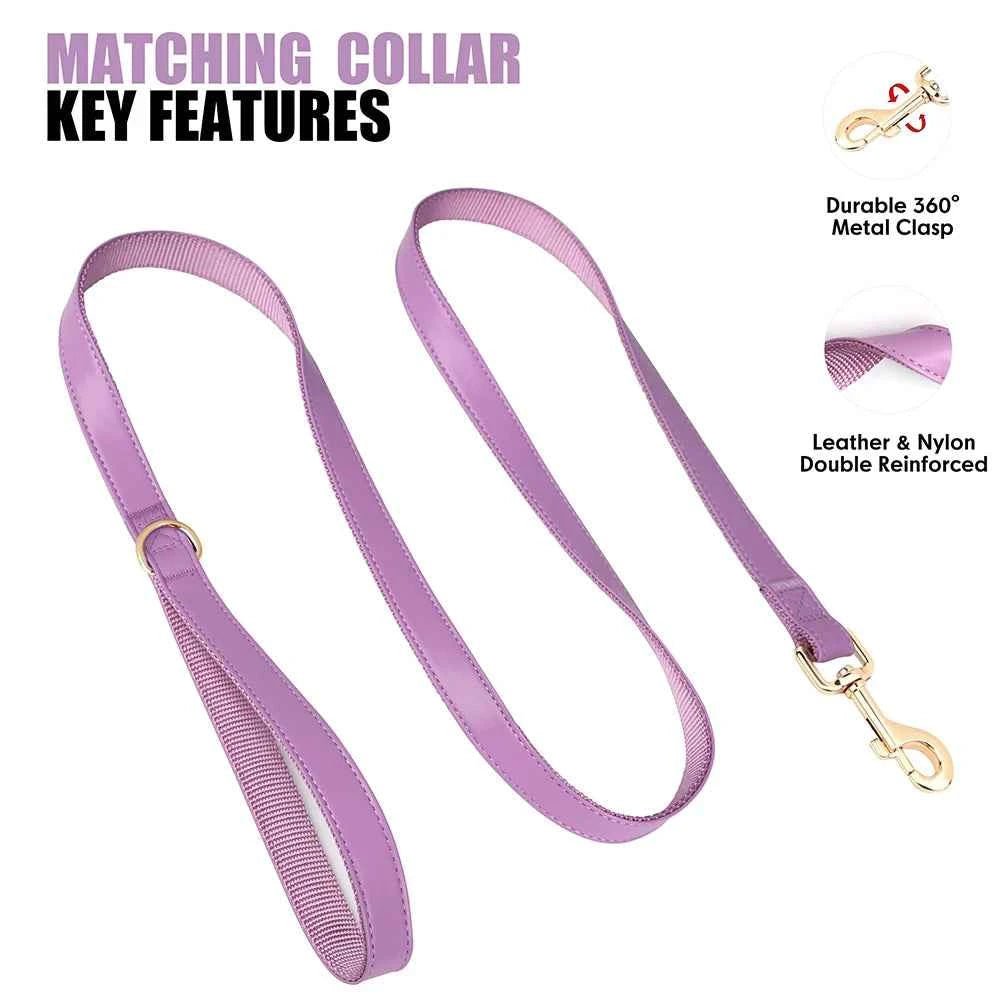 Vibrant Custom Dog Collars & Leash Set - Colorful Pet Necklace with Personalized Leash Bag by Souths Cheap Stuff