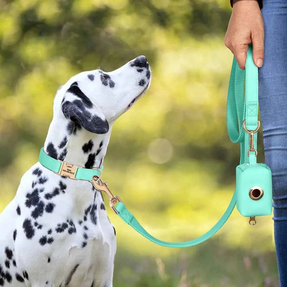 Vibrant Custom Dog Collars & Leash Set - Colorful Pet Necklace with Personalized Leash Bag by Souths Cheap Stuff