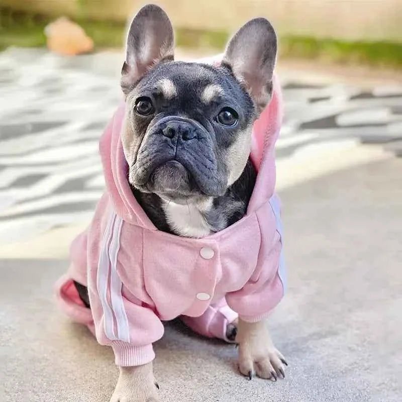 French Bulldog Outfit & Pug Winter Costume for Chihuahua | Pet Clothing Set by Souths Cheap Stuff