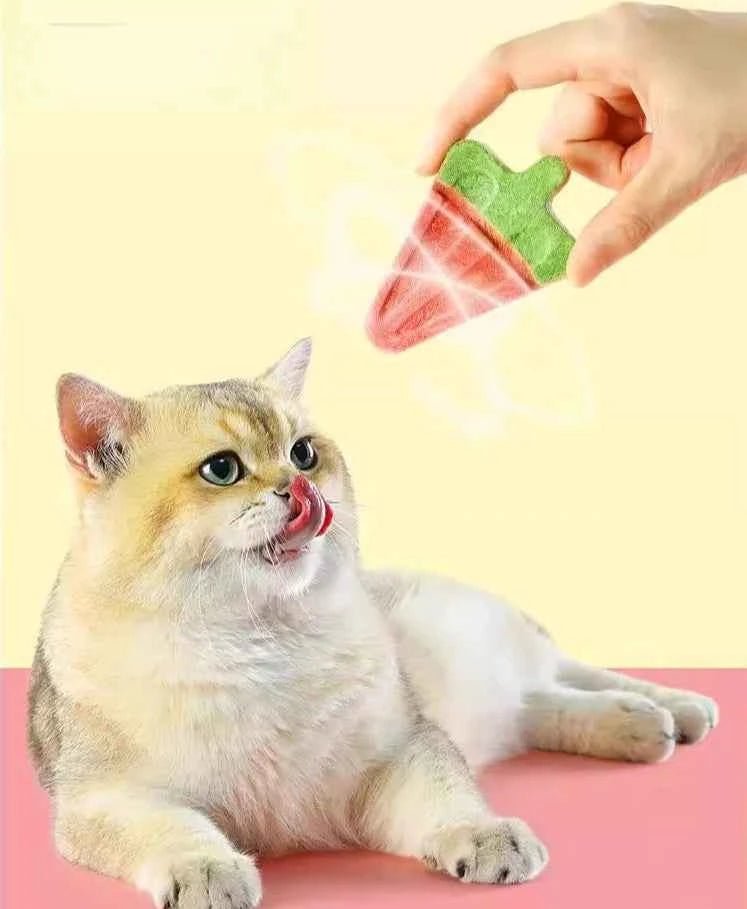 Freeze-Dried Pet Snacks Summer Cat Treats Dog Watermelon Treats by Souths Cheap Stuff