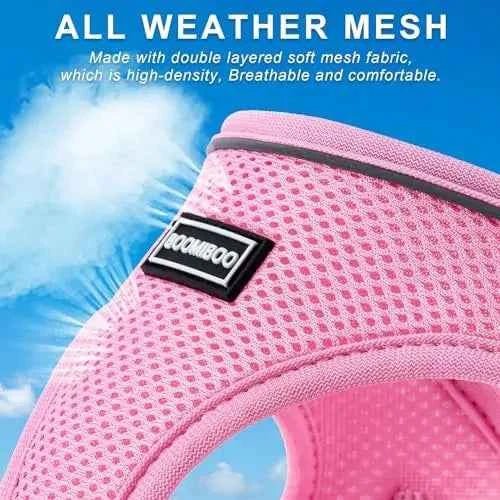 Pet-friendly harness set with adjustable leash, reflective step-in design for dogs & cats. Green XS. by Souths Cheap Stuff