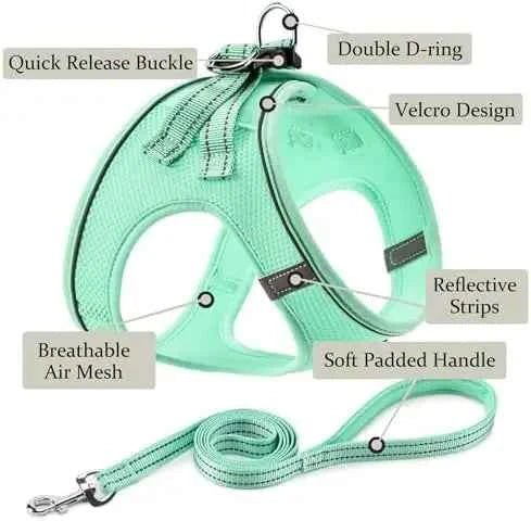 Pet-friendly harness set with adjustable leash, reflective step-in design for dogs & cats. Green XS. by Souths Cheap Stuff