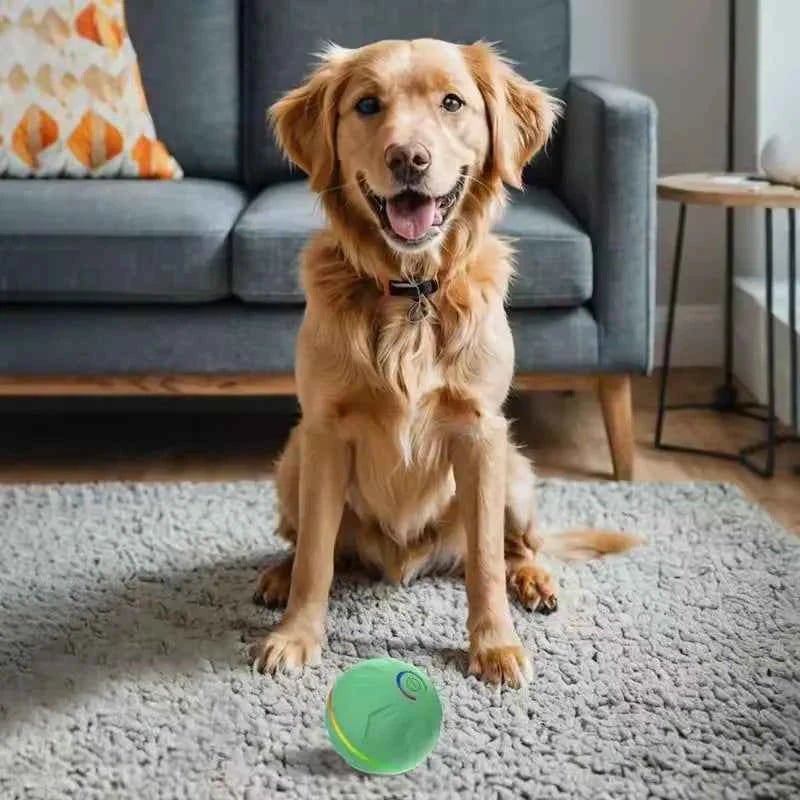 Smart Electric Dog Toy Interactive Ball for Active Pets by Souths Cheap Stuff