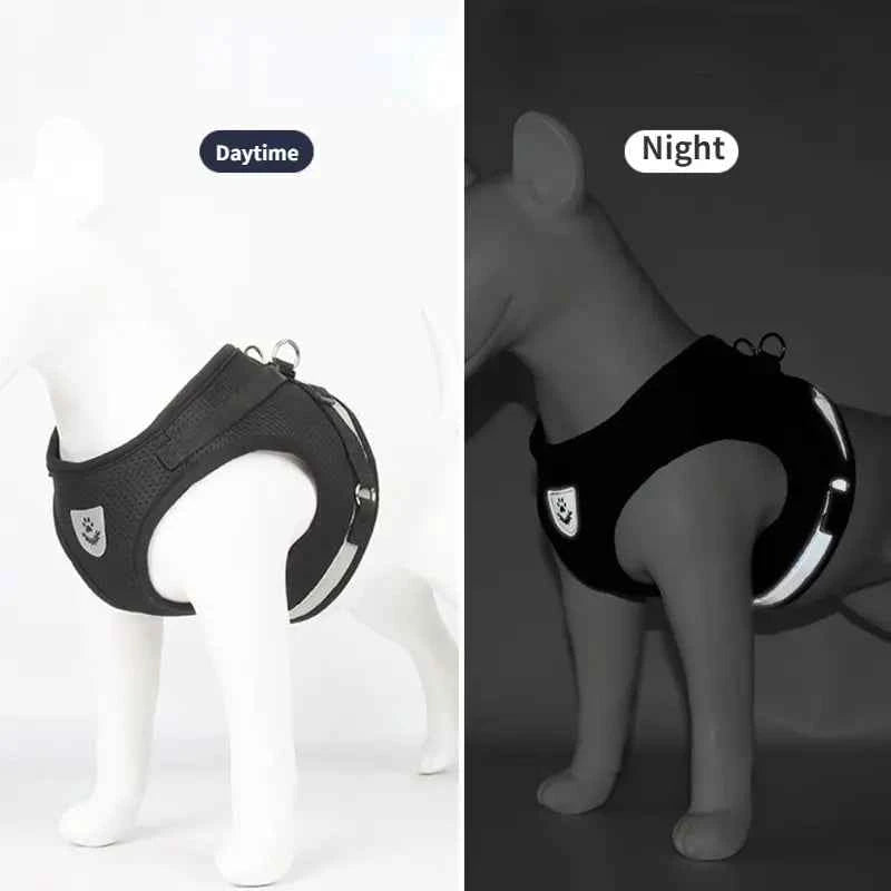 Breathable Mesh Dog Harness with Adjustable Leash & Reflective Collar by Souths Cheap Stuff