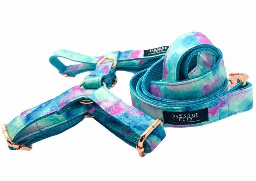 STEP IN BUNDLE - SKY (2 PIECES) by PAWSOME PETS