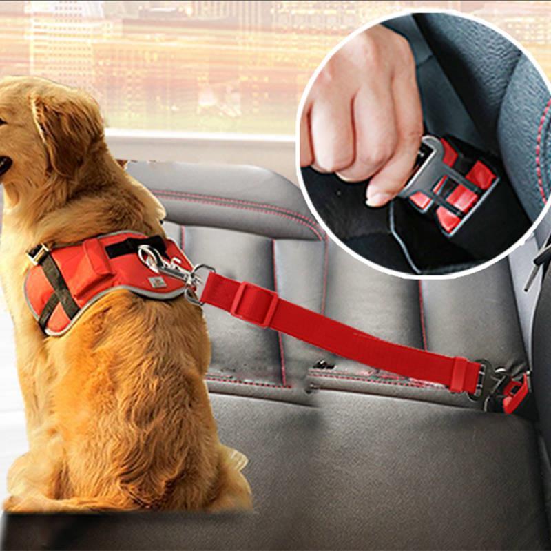 Telescopic Dog Traction Rope For Car Safety by Dog Hugs Cat