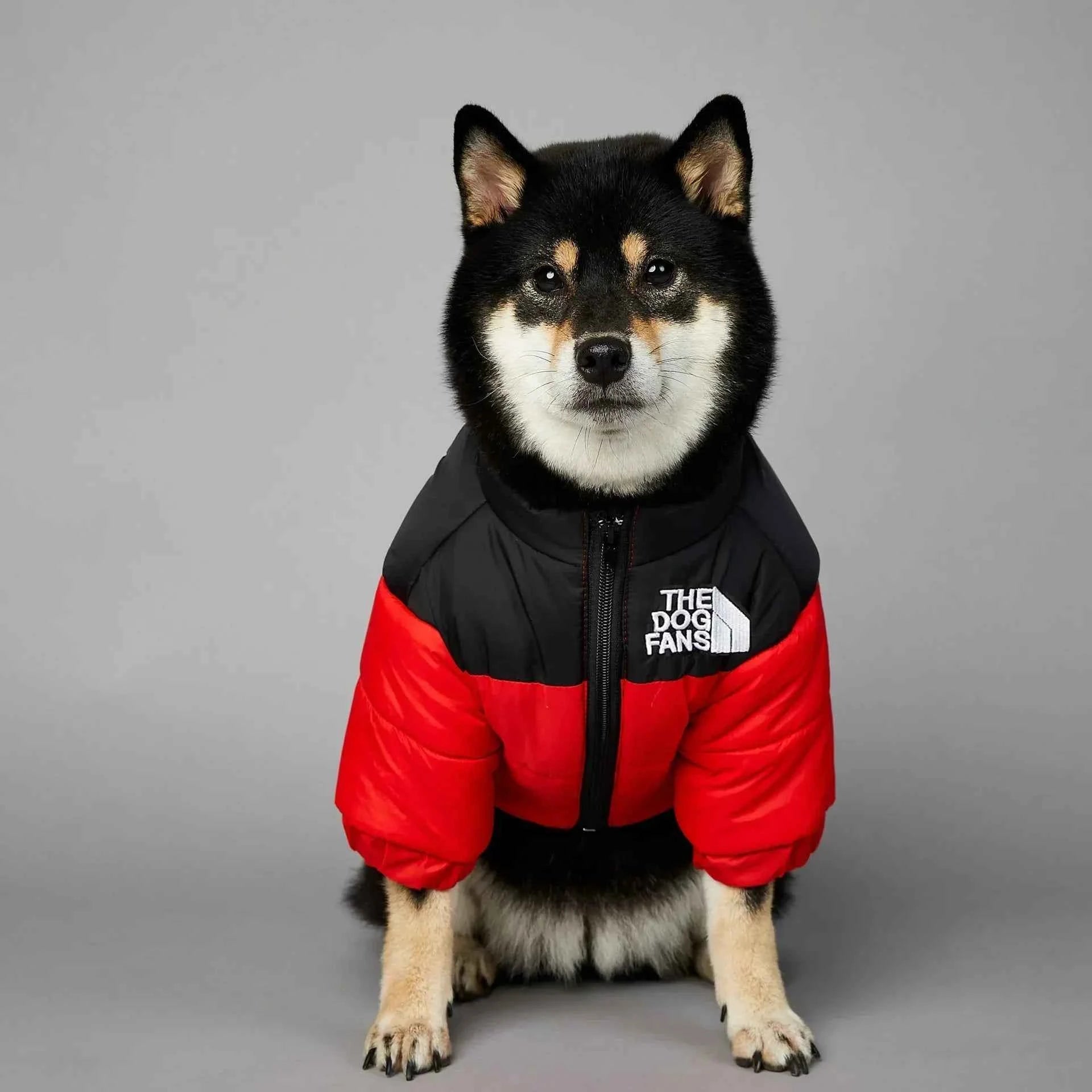 Warm Winter Dog Jacket for Small Dogs - Puppy Coat by Souths Cheap Stuff