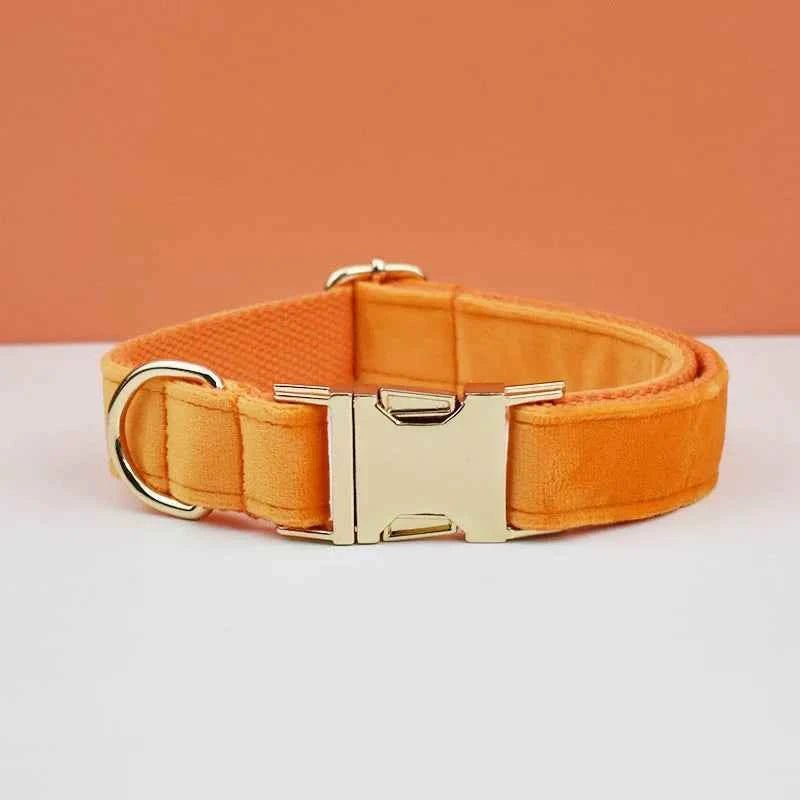 Luxury Velvet Dog Collar Leash Set, Adjustable Gold Leash for Stylish Dogs by Souths Cheap Stuff