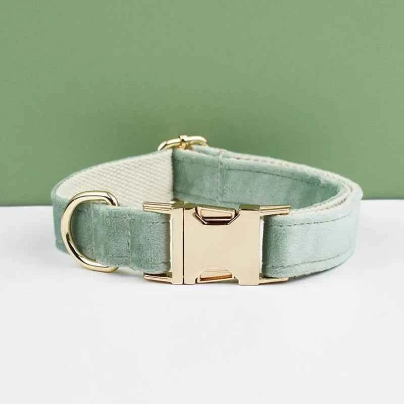 Luxury Velvet Dog Collar Leash Set, Adjustable Gold Leash for Stylish Dogs by Souths Cheap Stuff