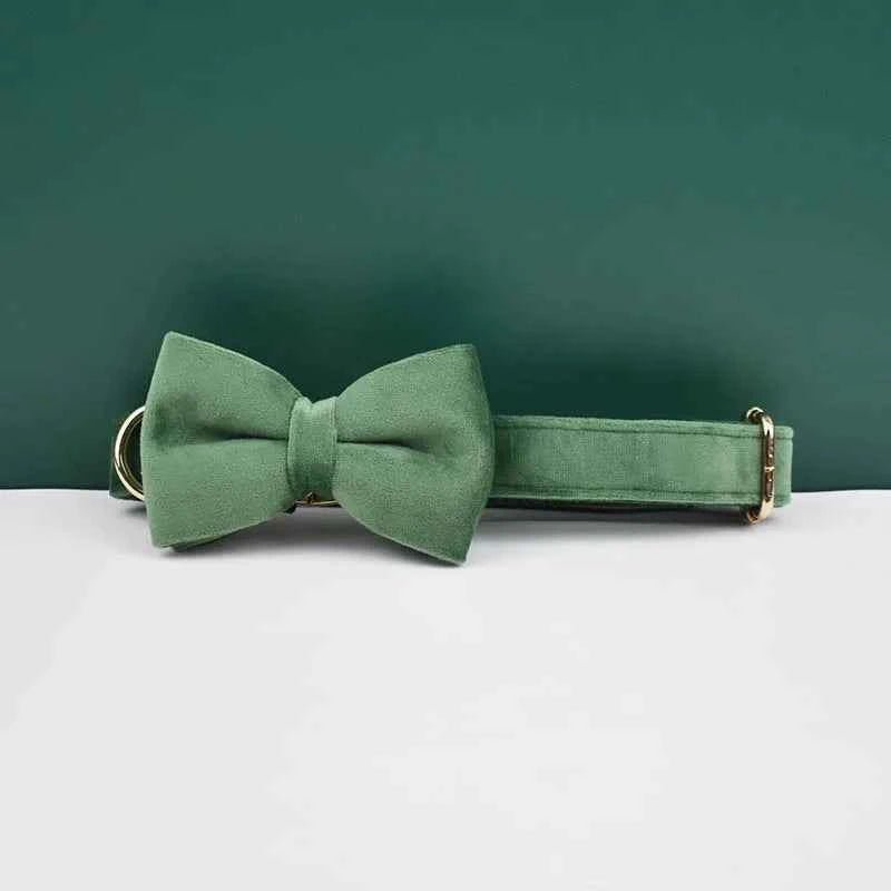 Luxury Velvet Dog Collar Leash Set, Adjustable Gold Leash for Stylish Dogs by Souths Cheap Stuff