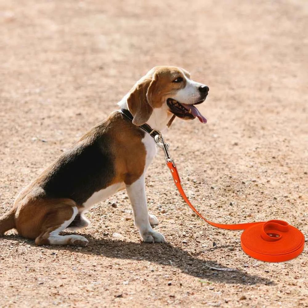 Durable Waterproof PVC Dog Leash, Easy-Clean, Long Training Lead for All Dog Sizes by Souths Cheap Stuff