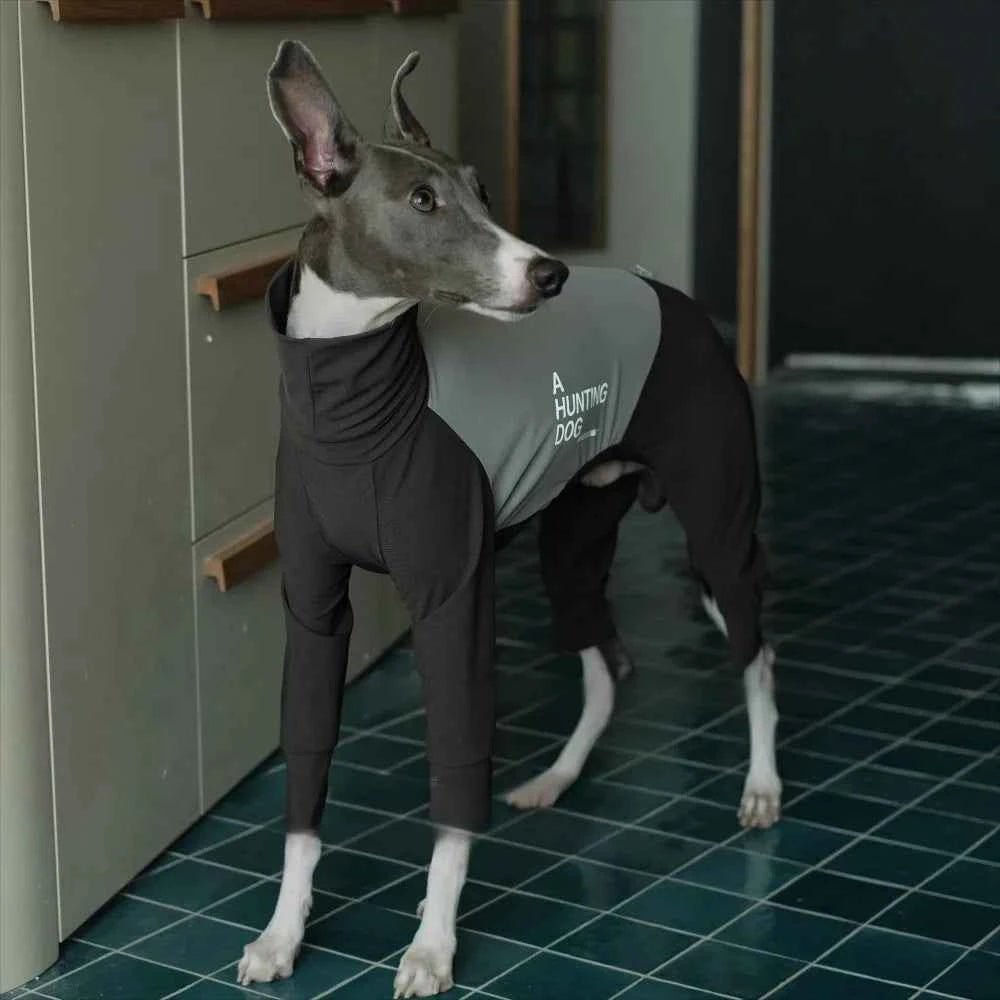 Greyhound Winter Outfits: Windproof Jumpsuit for Small Dogs by Souths Cheap Stuff
