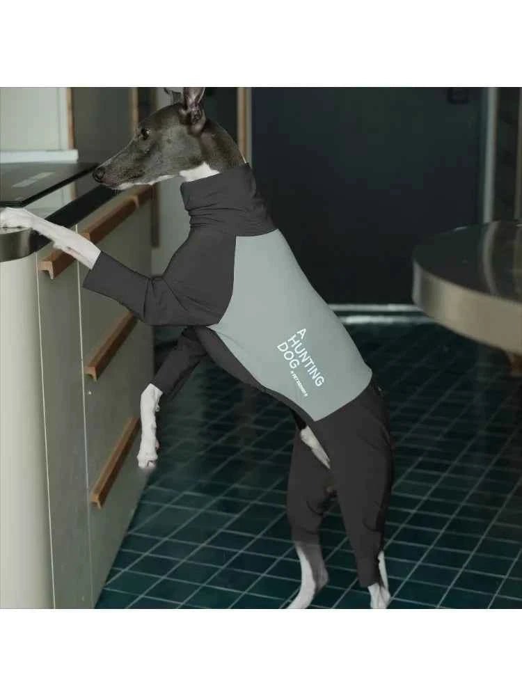 Greyhound Winter Outfits: Windproof Jumpsuit for Small Dogs by Souths Cheap Stuff