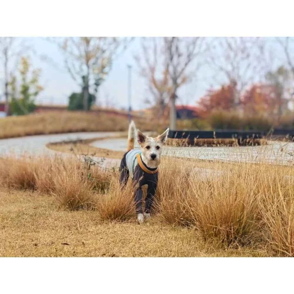 Greyhound Winter Outfits: Windproof Jumpsuit for Small Dogs by Souths Cheap Stuff