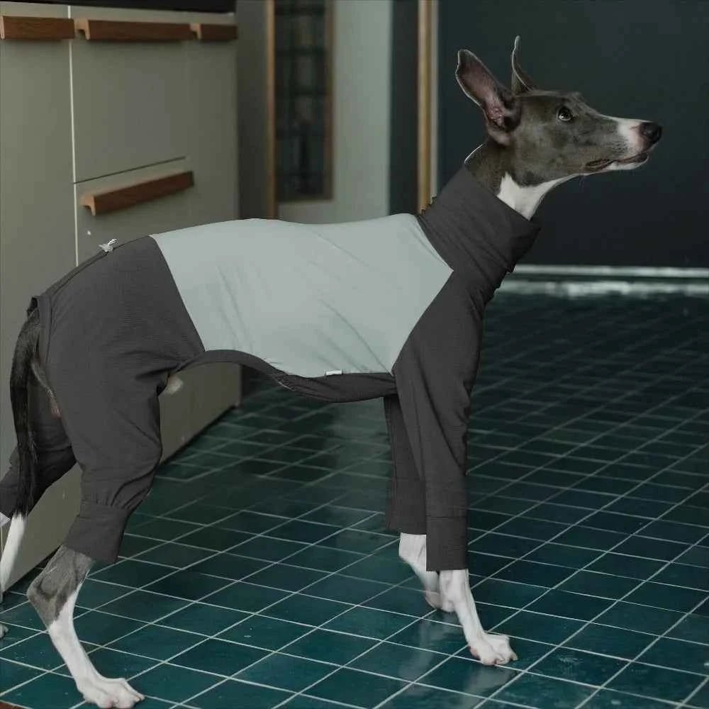 Greyhound Winter Outfits: Windproof Jumpsuit for Small Dogs by Souths Cheap Stuff