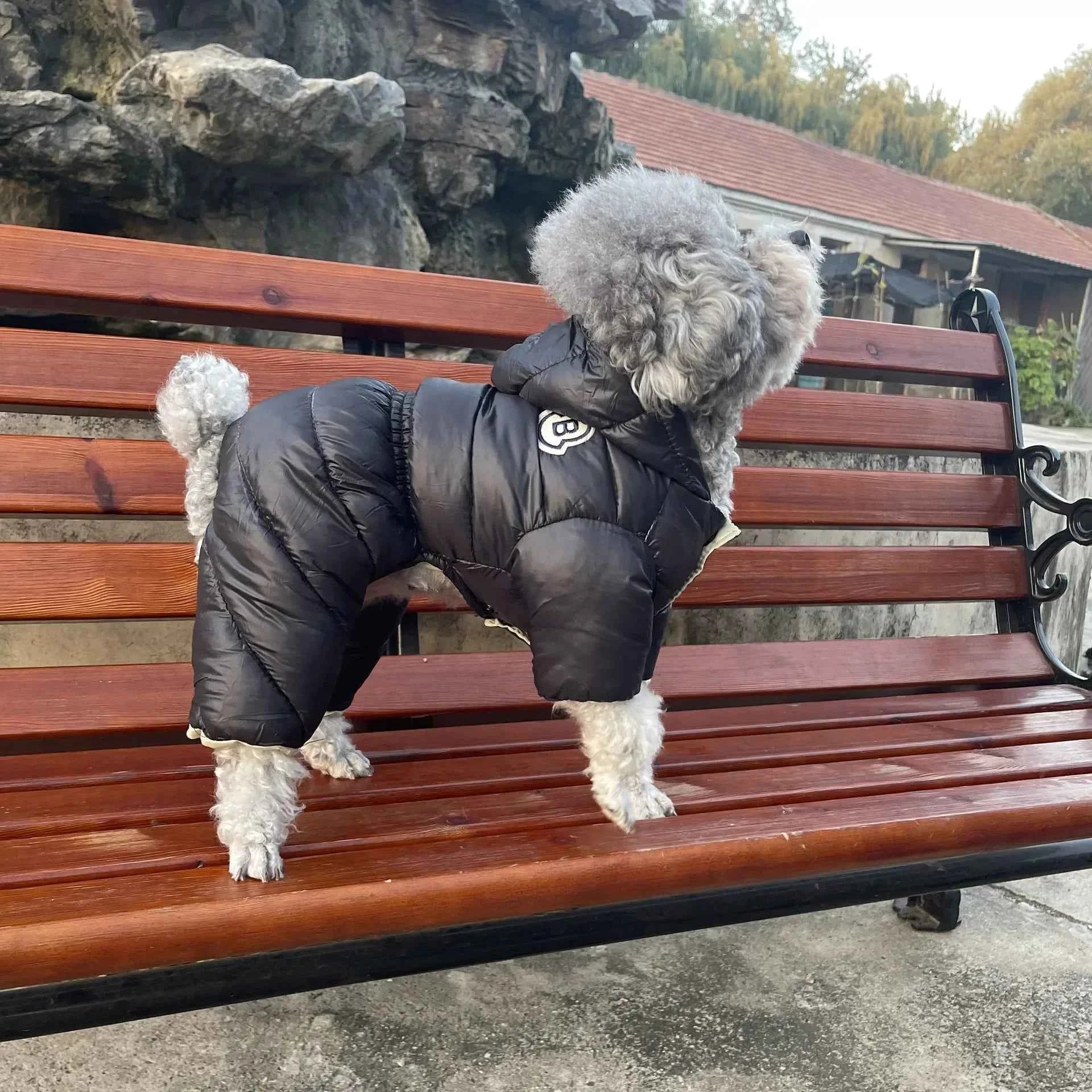 Cozy Cotton Puppy Jacket Stylish Winter Dog Clothes Pet Apparel by Souths Cheap Stuff