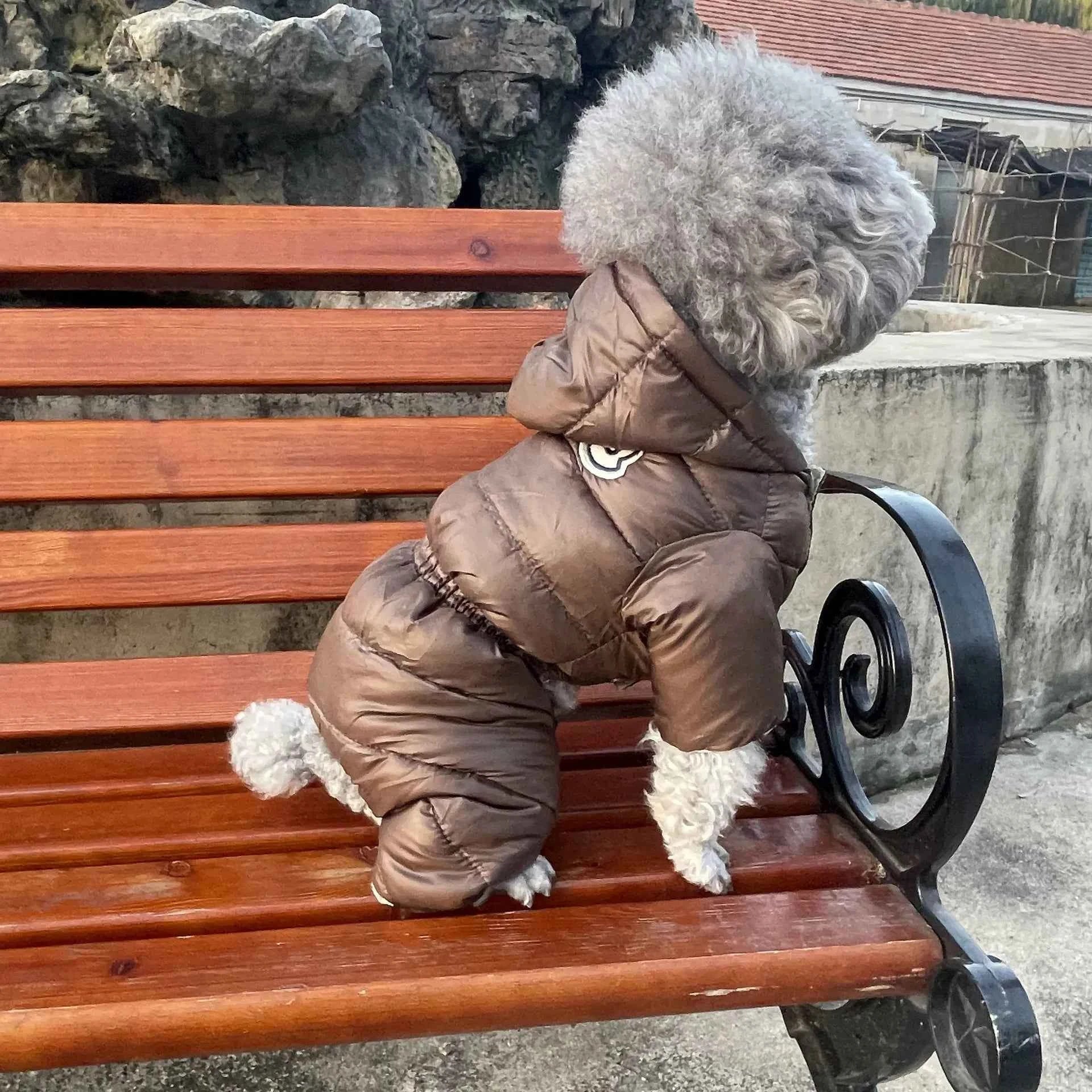 Cozy Cotton Puppy Jacket Stylish Winter Dog Clothes Pet Apparel by Souths Cheap Stuff
